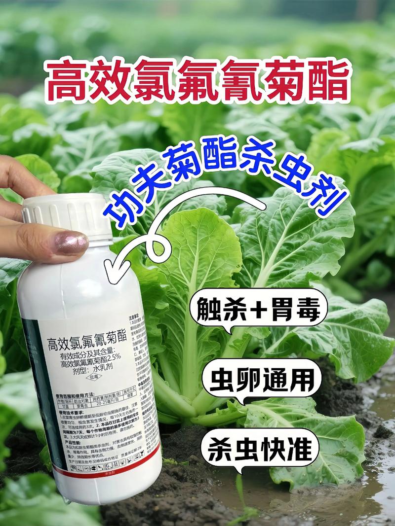 海南藏族代生中心:农药对供卵代生妈妈的危害